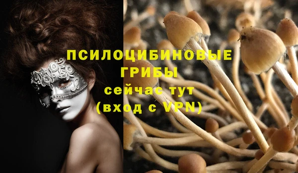 соль ск Зеленокумск