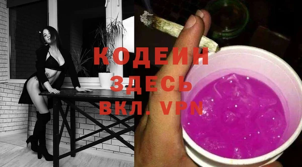 прущие грибы Ступино