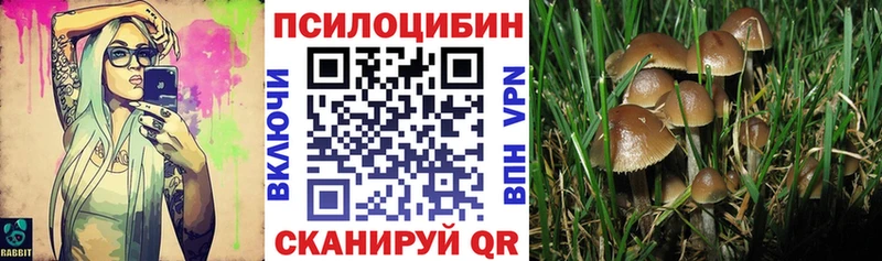 Галлюциногенные грибы мицелий  Сенгилей 